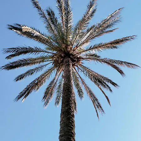Fronte Mare * Isola delle Femmine